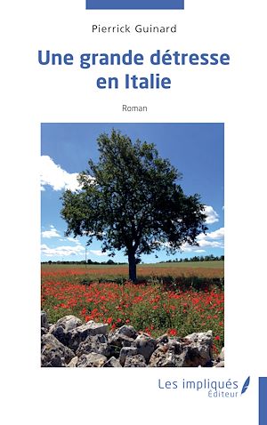 Téléchargez le livre :  Une grande détresse en Italie