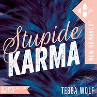 Téléchargez le livre :  Stupide Karma