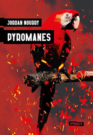 Download the eBook: Pyromanes - Numerique