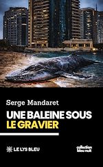 Télécharger le livre :  Une baleine sous le gravier