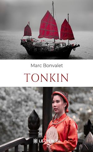 Téléchargez le livre :  Tonkin