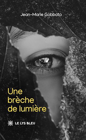 Téléchargez le livre :  Une brèche de lumière