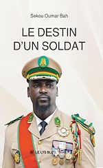 Download this eBook Le destin d'un soldat