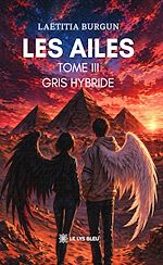 Télécharger le livre :  Les ailes - Tome 3