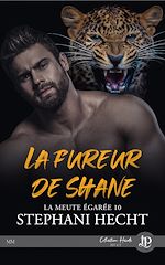 Télécharger le livre :  La fureur de Shane