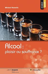Téléchargez le livre :  Alcool : plaisir ou souffrance ?