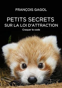 Télécharger le livre :  Petits secrets sur la loi d’attraction. Craquer le code