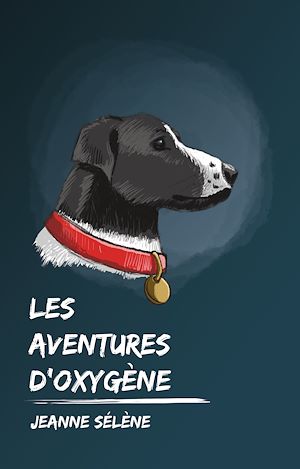 Téléchargez le livre :  Les Aventures d'Oxygène