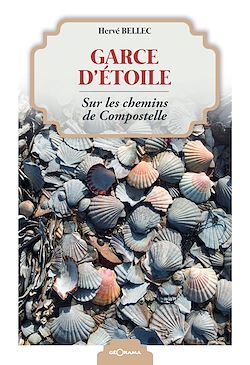 Télécharger le livre :  Garce d'étoile