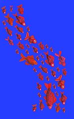 Download this eBook Chroniques du bocal