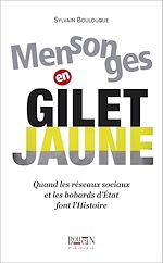 Télécharger le livre :  Mensonges en gilet jaune