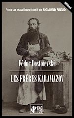 Download this eBook Les frères Karamazov