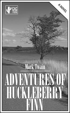 Téléchargez le livre :  Adventures of Huckleberry Finn