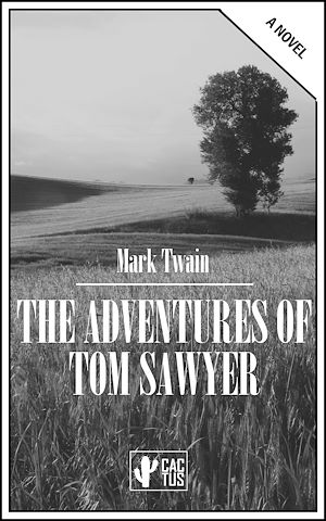 Téléchargez le livre :  The Adventures of Tom Sawyer