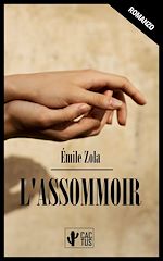 Télécharger le livre :  L'assommoir