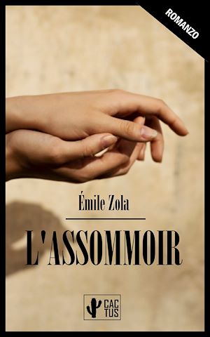 Téléchargez le livre :  L'assommoir