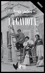 Download this eBook La gaviota