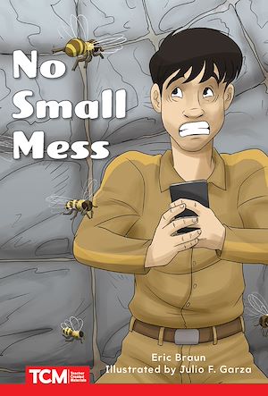 Téléchargez le livre :  No Small Mess