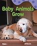Télécharger le livre :  Baby Animals Grow