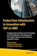 Télécharger le livre :  Evolve from Infrastructure to Innovation with SAP on AWS