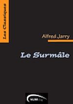 Télécharger le livre :  Le Surmâle