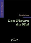 image couv description